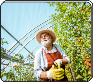 Agricultura sostenible y ecológica